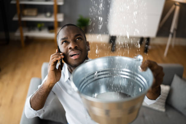 Best 24/7 water damage repair  in Amelia, OH