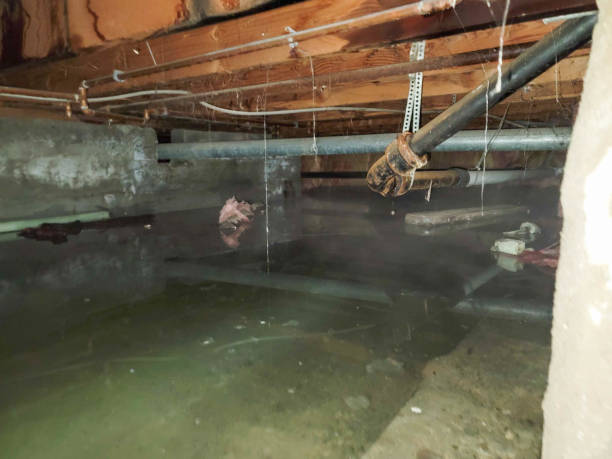 Fire Damage Restoration in Amelia, OH