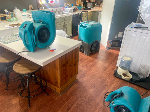 Best Basement water damage restoration  in Amelia, OH