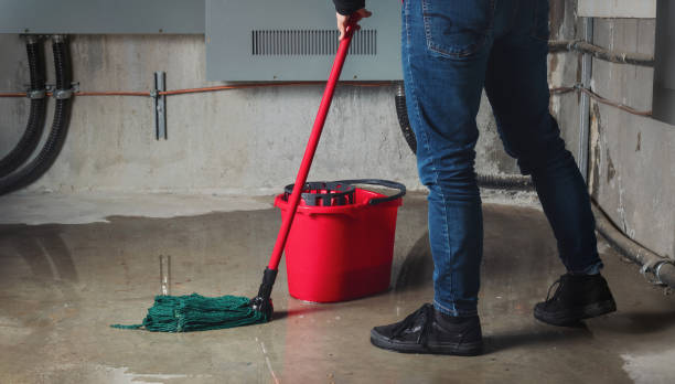Best Local water damage restoration  in Amelia, OH