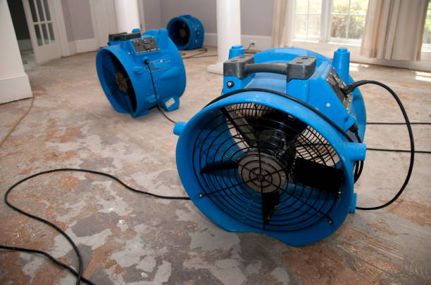 Carpet water damage restoration in Amelia, OH