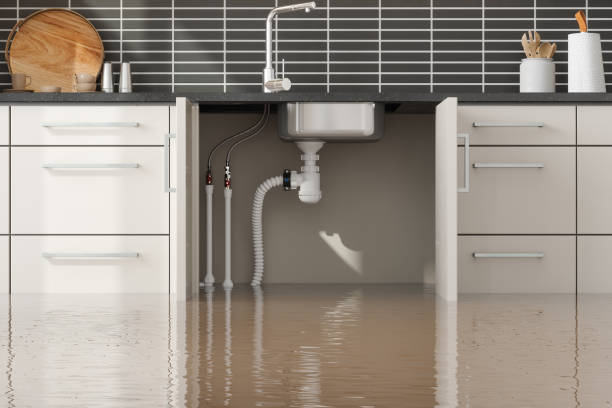 Best Water damage restoration near me  in Amelia, OH