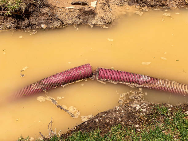  Amelia, OH Water damage restoration Pros