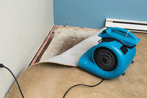 Best Ceiling water damage repair  in Amelia, OH